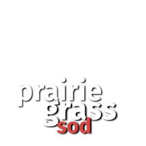 prairie-grass-sod-south-north-dakota-white