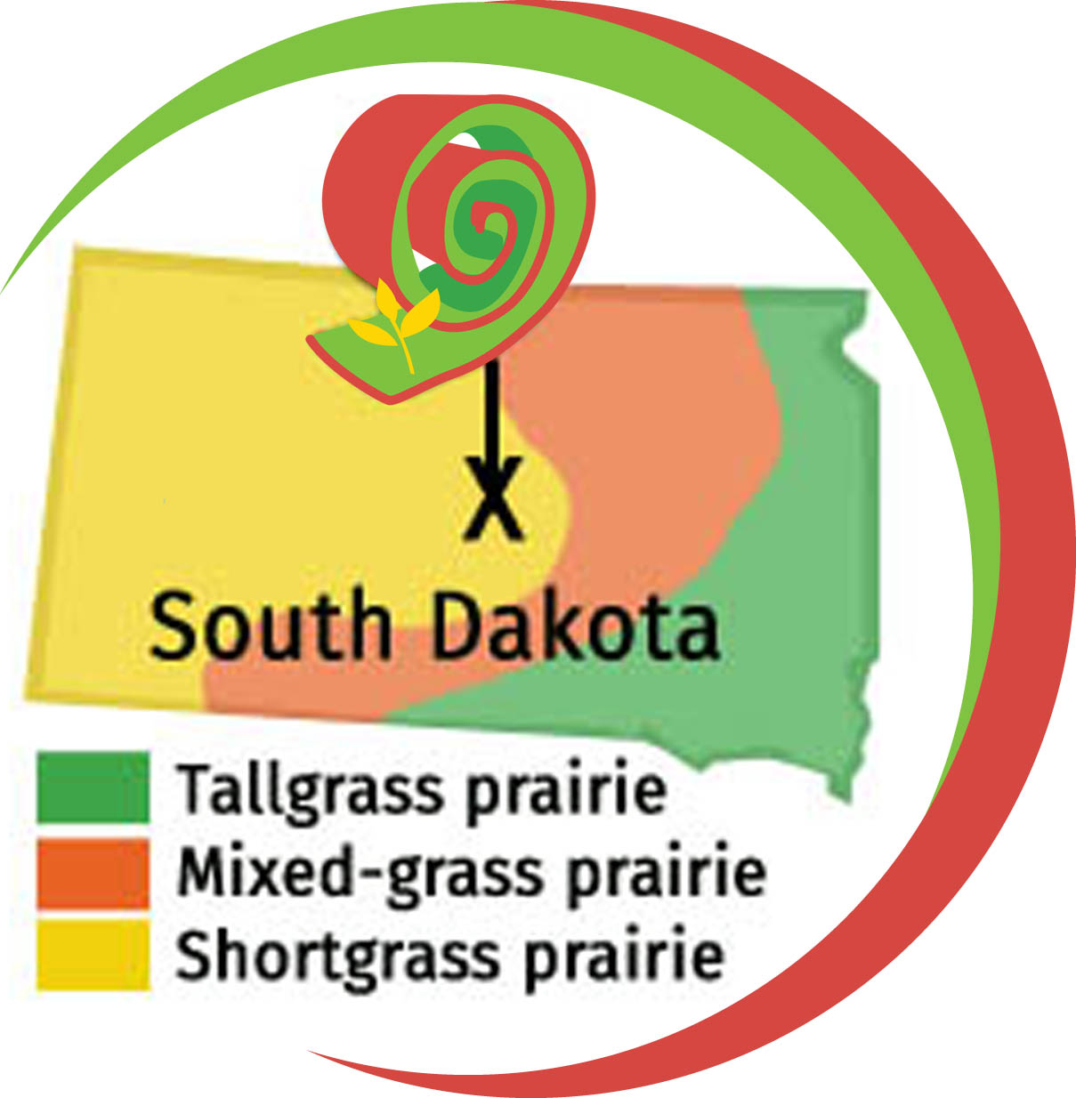 prairie grass sod for sale in South Dakota
